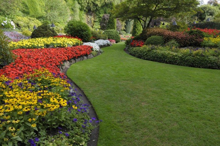 2. assess your garden space