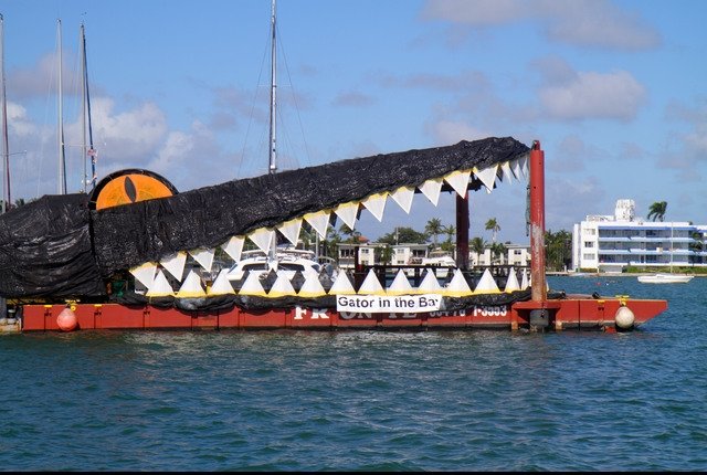 floating in the waters of biscayne bay