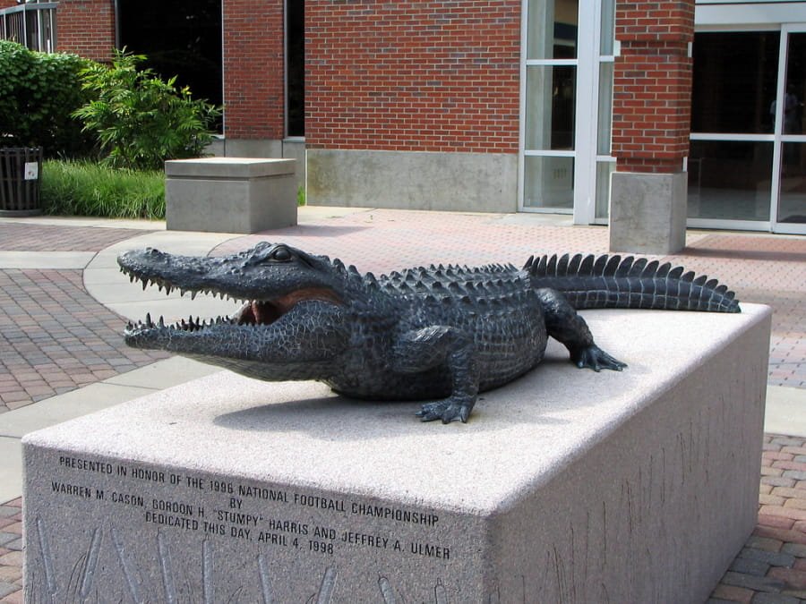 bronze Gator statue