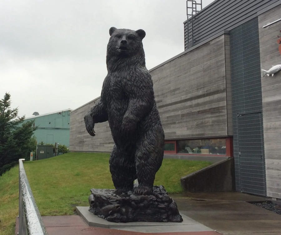 kodiak bear in anchorage