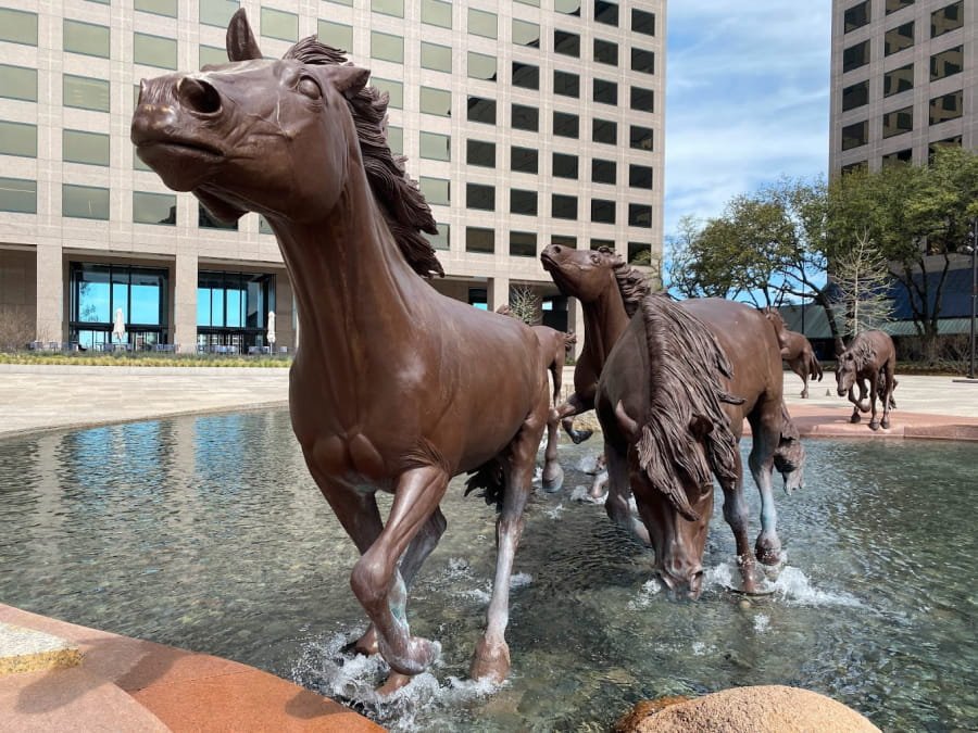 mustangs at las colinas