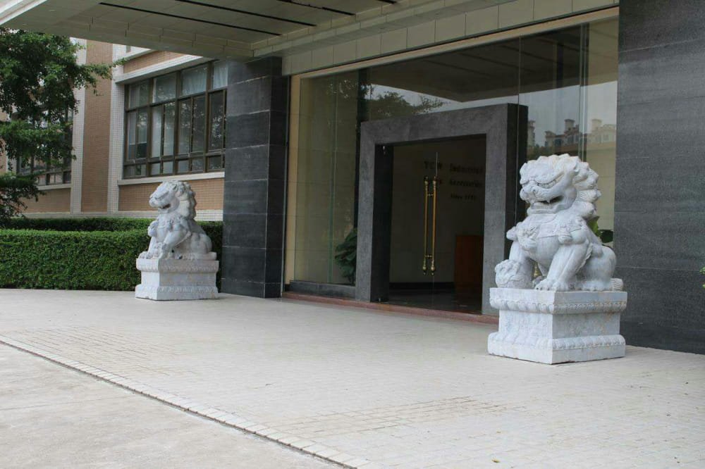 foo dog in front of government
