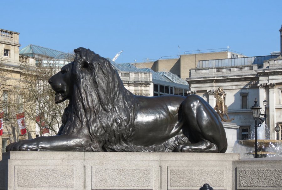 trafalgar square lions